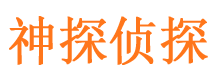 盐田市场调查